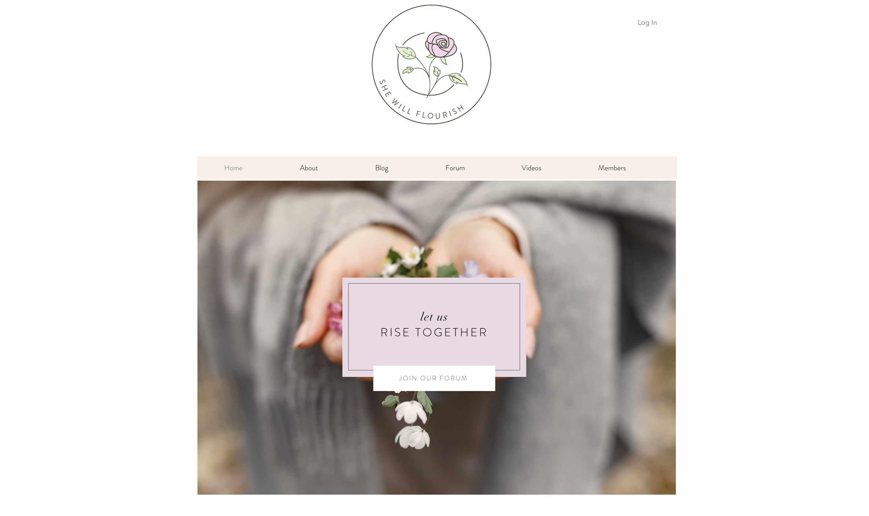 Website Designs