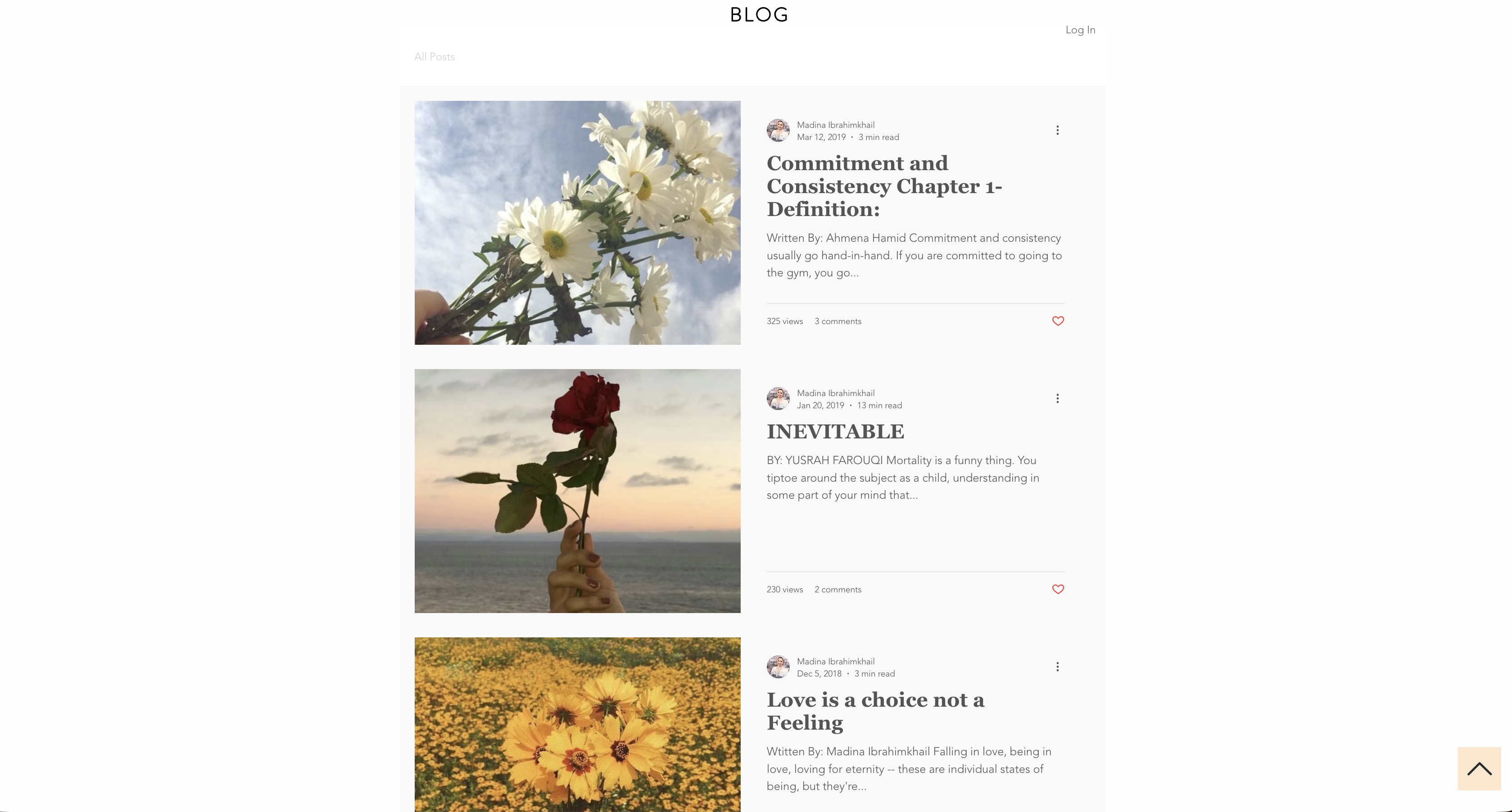 Website Design 2